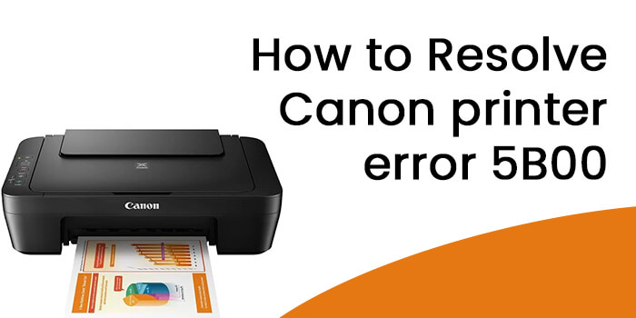 Canon printer error 5b00